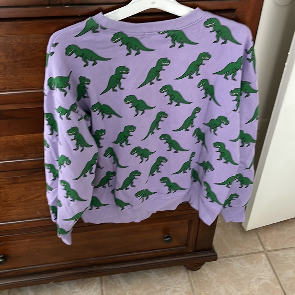 Dinosaur pull over - Picture 3 of 3